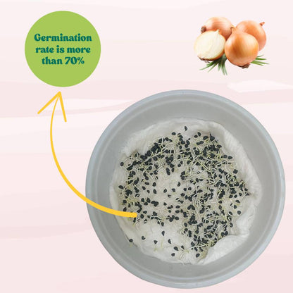 Yellow Onion Seeds - 1000 Seeds (Pili Pyaj/प्याज के बीज) High Yield/High Germination/Best Seeds for Terrace Gardening