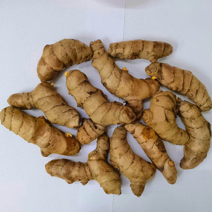 Yellow Turmeric Seeds (Haldi Roots) for Planting (400g)