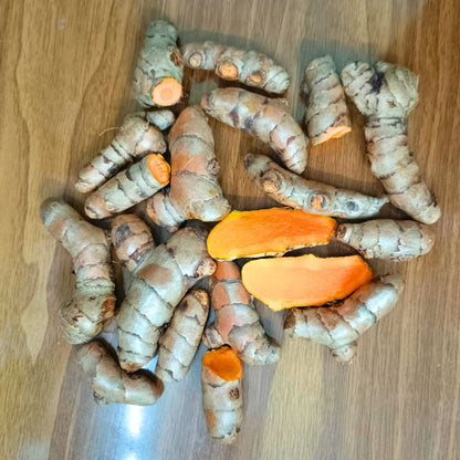 Yellow Turmeric Seeds (Haldi Roots) for Planting (400g)
