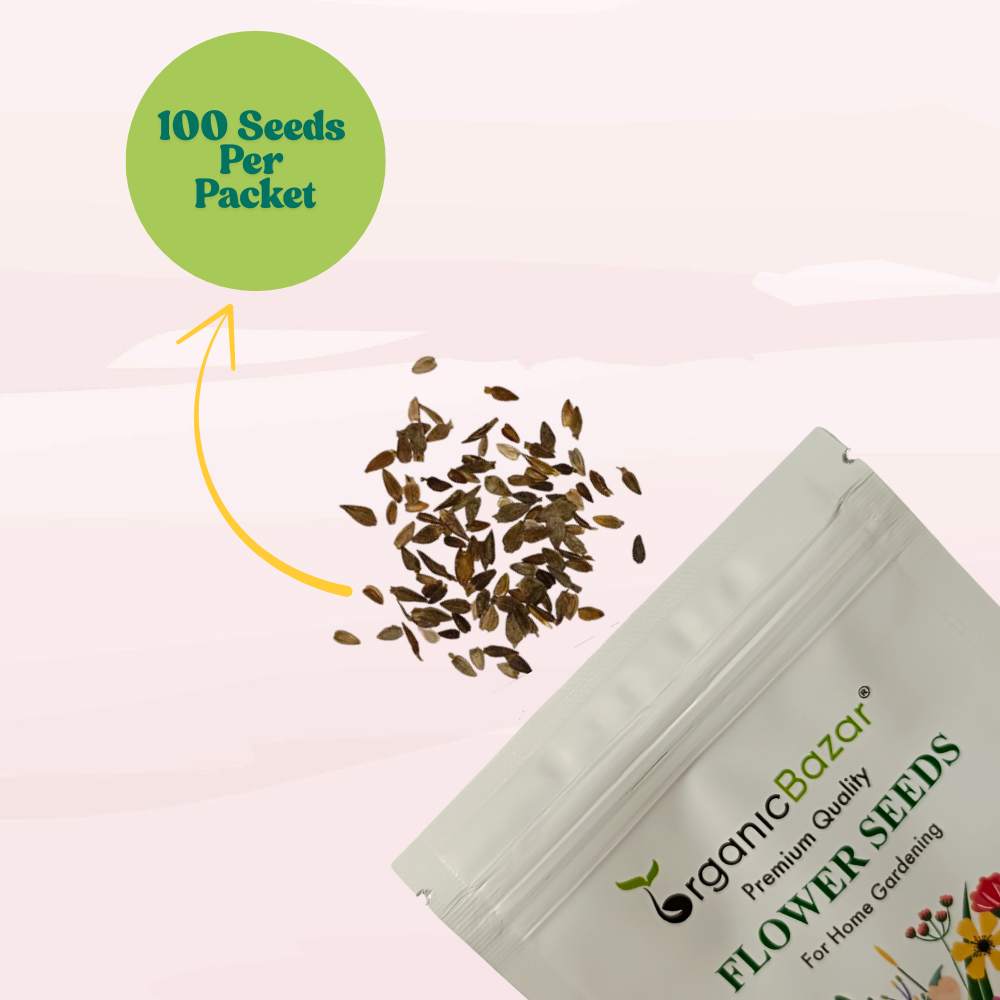 Zinnia Mix Color Flower Seeds (100 Seeds) High Germination/ Easy To grow/ Perfect for pots, balconies, or Terrace gardens