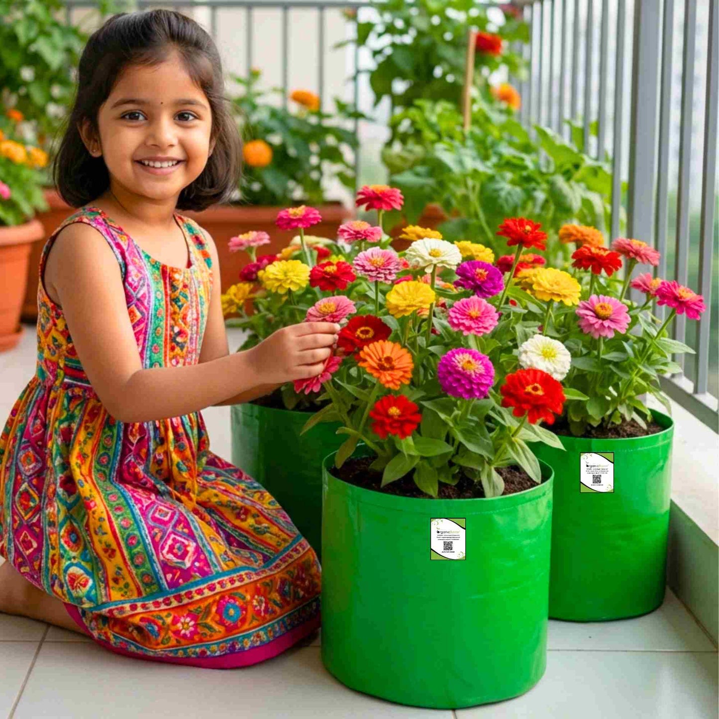 Zinnia Mix Color Flower Seeds (100 Seeds) High Germination/ Easy To grow/ Perfect for pots, balconies, or Terrace gardens