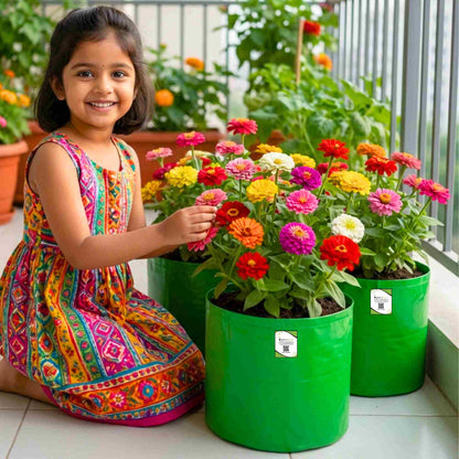 Zinnia Mix Color Flower Seeds (100 Seeds) High Germination/ Easy To grow/ Perfect for pots, balconies, or Terrace gardens