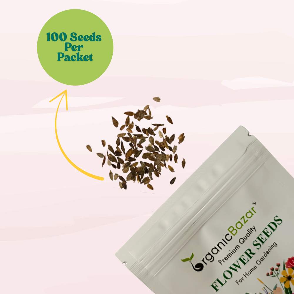 Zinnia Purple Flower Seeds (100 Seeds) High Germination/ Easy To grow/ Perfect for pots, balconies, or Terrace gardens