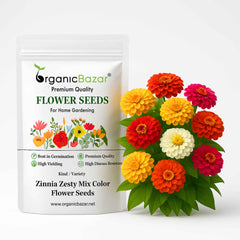 Zinnia Zesty Mix Color Flower Seeds (20 Seeds) High Germination/ Easy To grow/ Perfect for pots, balconies, or Terrace gardens