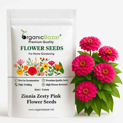 shopee flower seeds Zinnia Zesty Pink Flower Seeds (20 Seeds) High Germination/ Easy To gr – Organicbazar