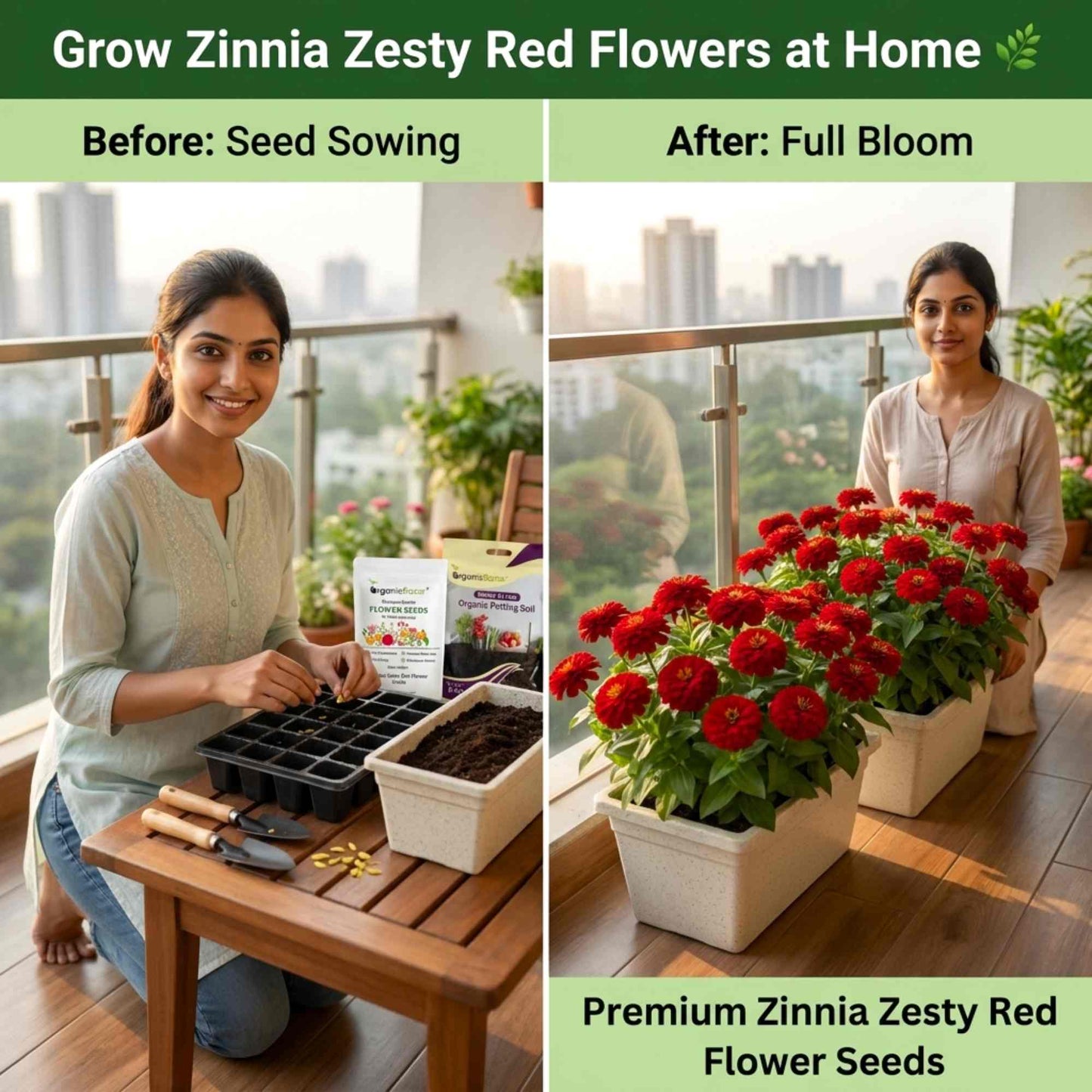 Zinnia Zesty Scarlet Red Flower Seeds (20 Seeds) High Germination/ Easy To grow/ Perfect for pots, balconies, or Terrace gardens