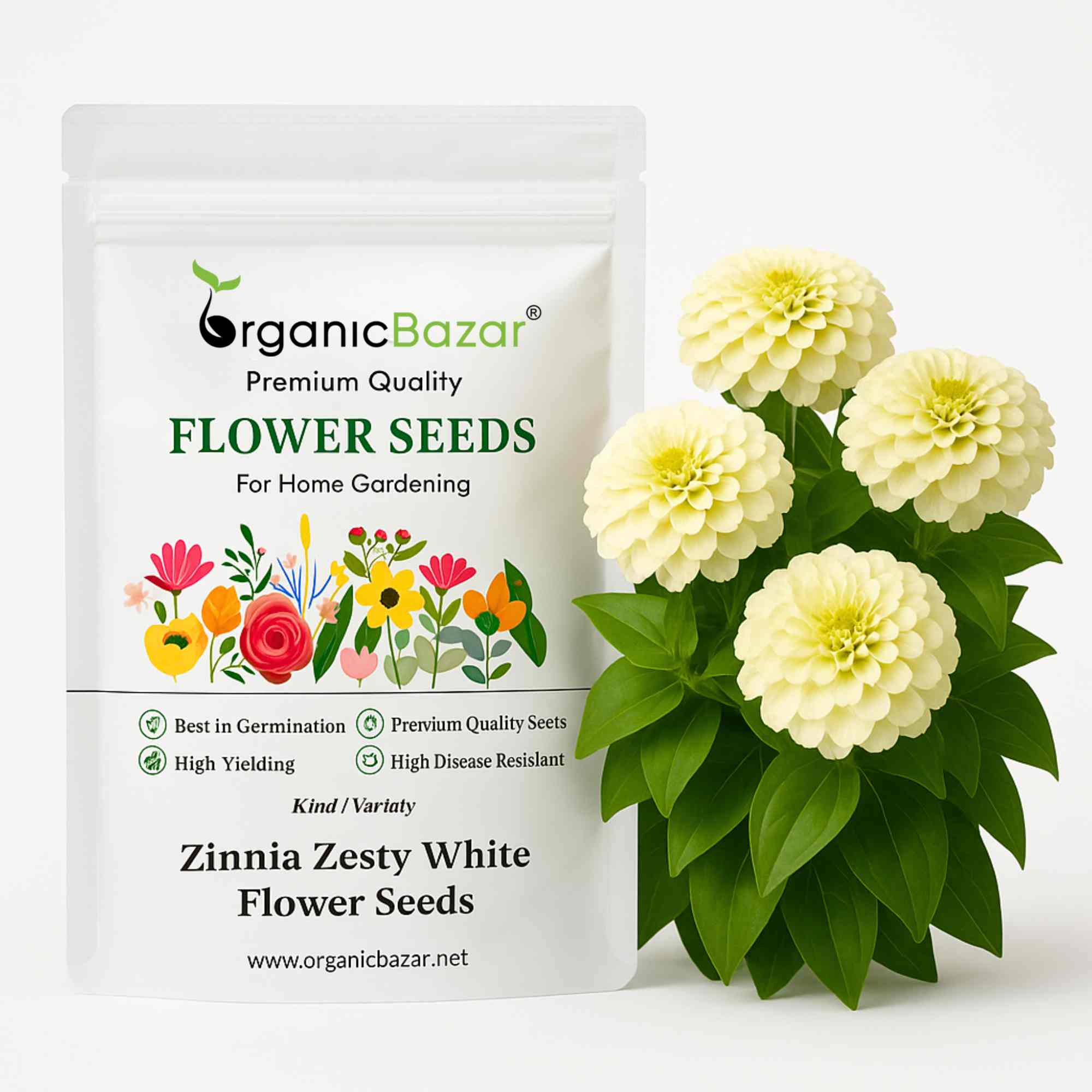 Zinnia Zesty White Flower Seeds (20 Seeds) High Germination/ Easy To grow/ Perfect for pots, balconies, or Terrace gardens
