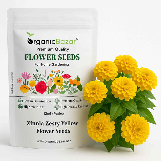 Zinnia Zesty Yellow Flower Seeds (20 Seeds) High Germination/ Easy To grow/ Perfect for pots, balconies, or Terrace gardens