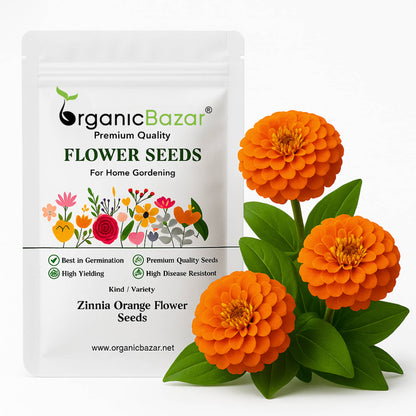 Zinnia Orange Flower Seeds (100 Seeds) High Germination/ Easy To grow/ Perfect for pots, balconies, or Terrace gardens