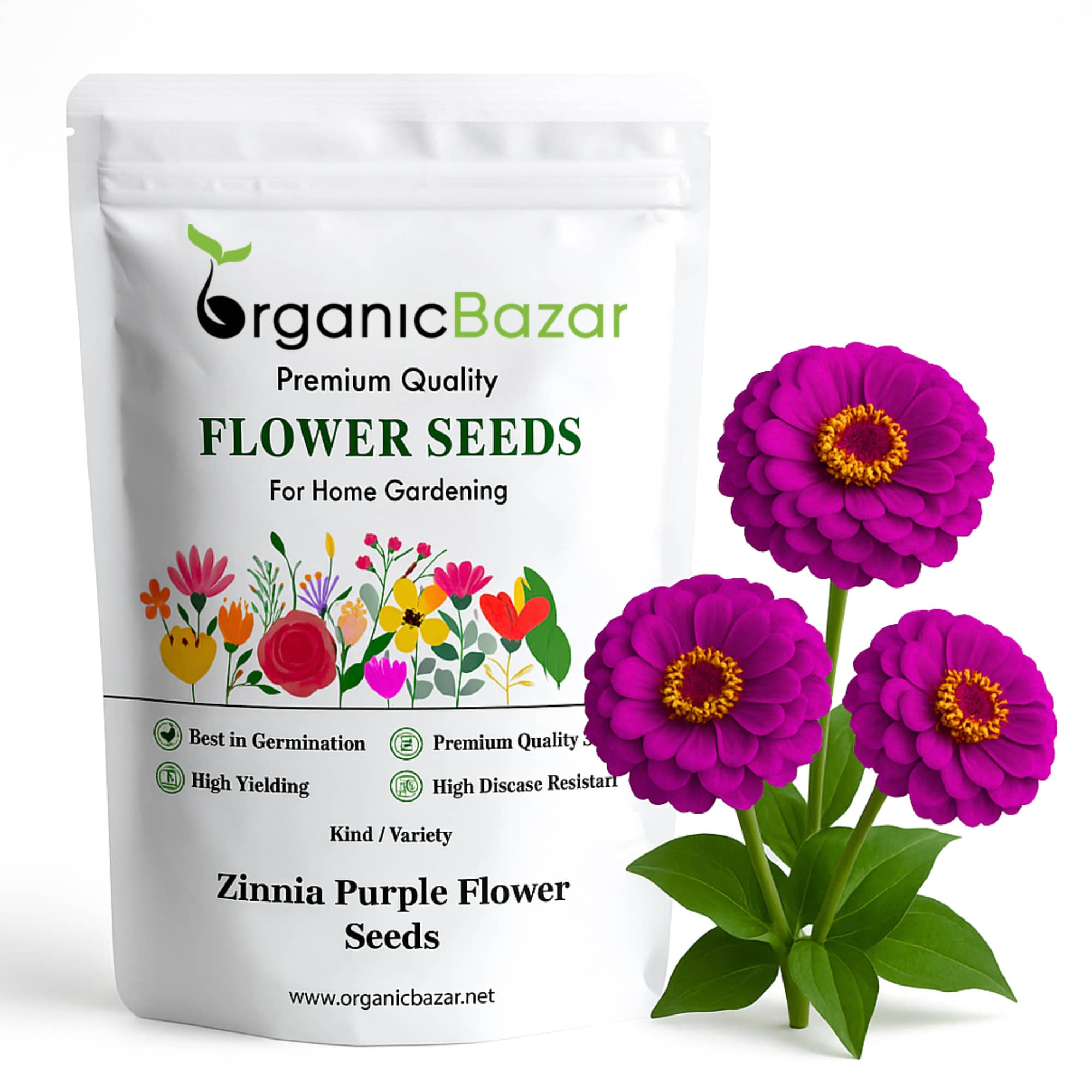 Zinnia Purple Flower Seeds (100 Seeds) High Germination/ Easy To grow/ Perfect for pots, balconies, or Terrace gardens