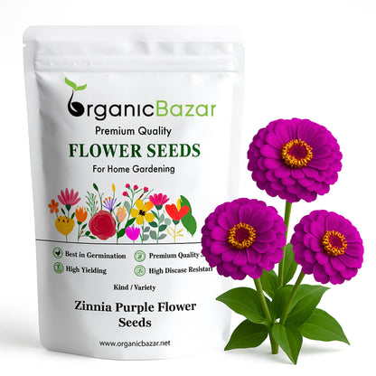 Zinnia Purple Flower Seeds (100 Seeds) High Germination/ Easy To grow/ Perfect for pots, balconies, or Terrace gardens