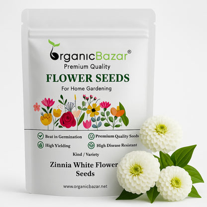 Zinnia White Flower Seeds (100 Seeds) High Germination/ Easy To grow/ Perfect for pots, balconies, or Terrace gardens
