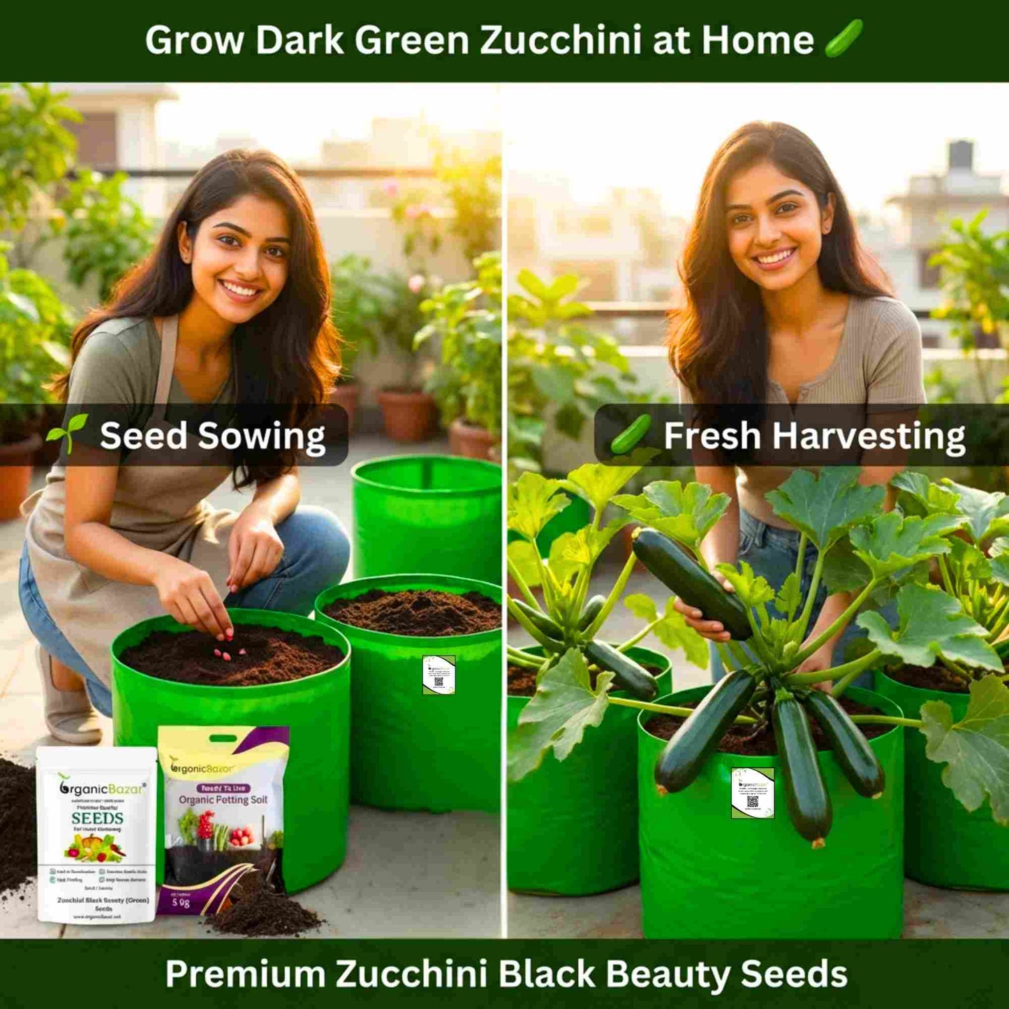 Zucchini Black Beauty (Green) Seeds - 15 Seeds (जुकिनी के बीज)