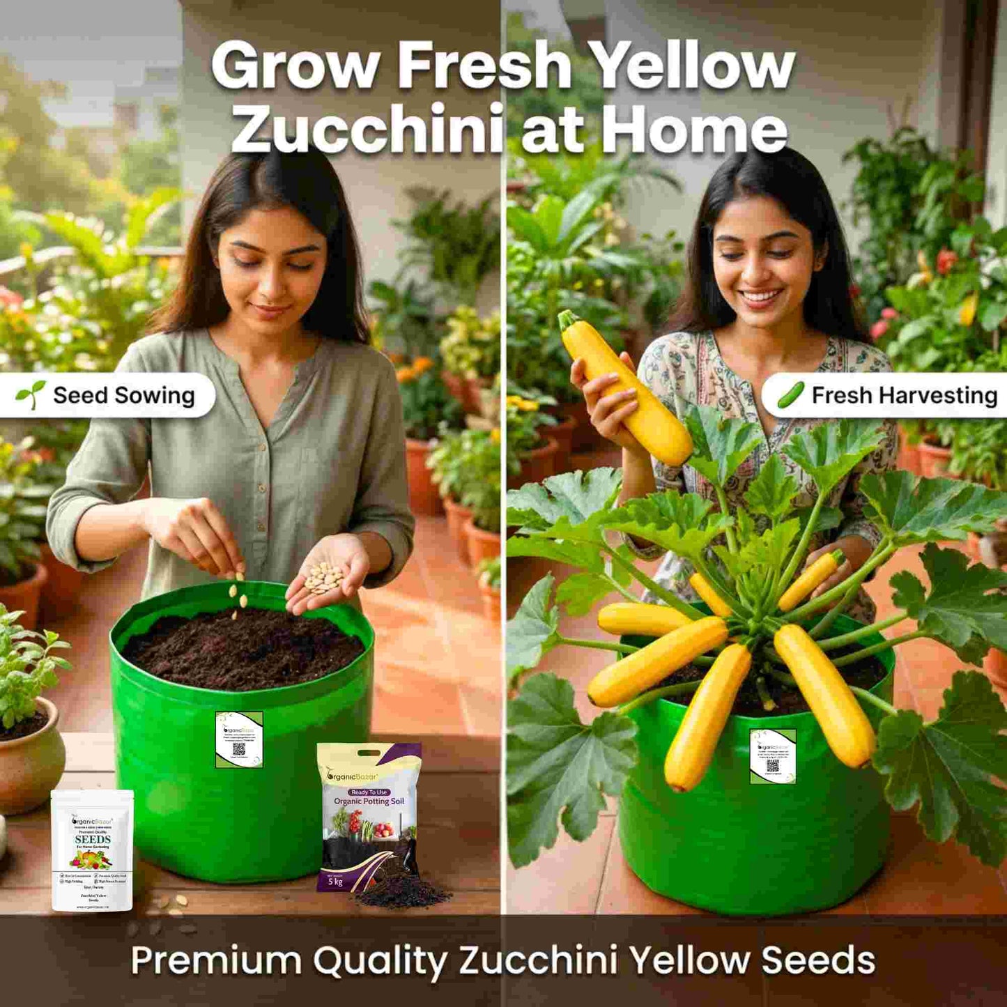Zucchini Yellow Seeds - 15 Seeds (पीली जुकिनी के बीज)