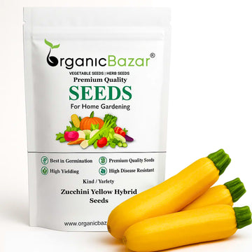 Zucchini Yellow Hybrid Seeds - 15 Seeds (पीली जुकिनी के बीज)