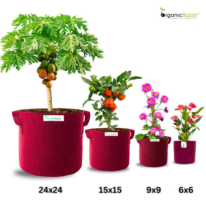 OragnicBazar Geo 24×24 Grow Bag for Home & Terrace Gardening Suitable for Fruit Tree, Premium Geo Fabric 450 GSM Plant Bags