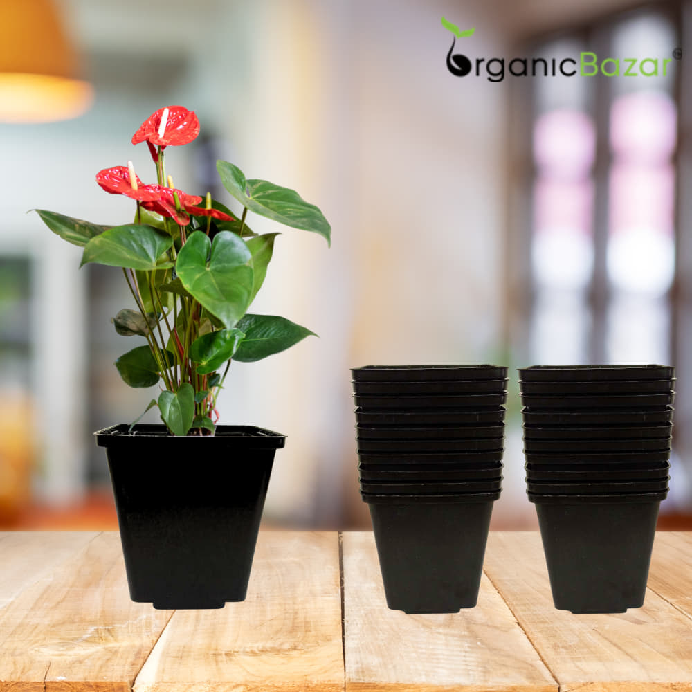 Square Nursery Pots for Seedlings (Black)