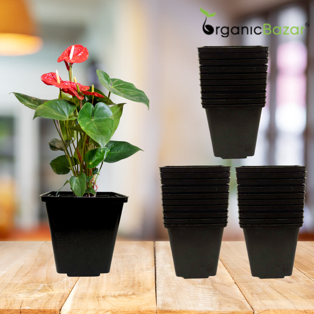 Square Nursery Pots for Seedlings (Black)