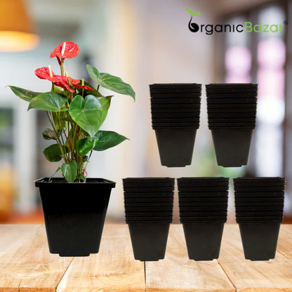 Square Nursery Pots for Seedlings (Black)