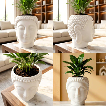 Buddha Face Planter Plastic Pot (Pack of 1) – Luxury Geometric Designer Unique Plant Pots for Living Room, Bedroom, Office, Villa, & premium commercial interiors