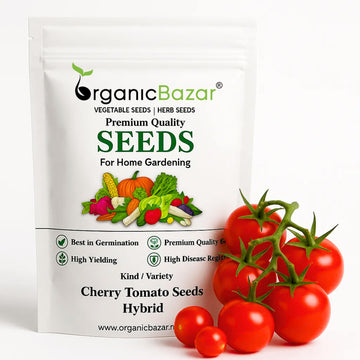 Cherry Tomato Seeds Hybrid - 50 Seeds (Cherry Tamatar/चेरी टमाटर के बीज) High Germination, Juicy & Flavorful