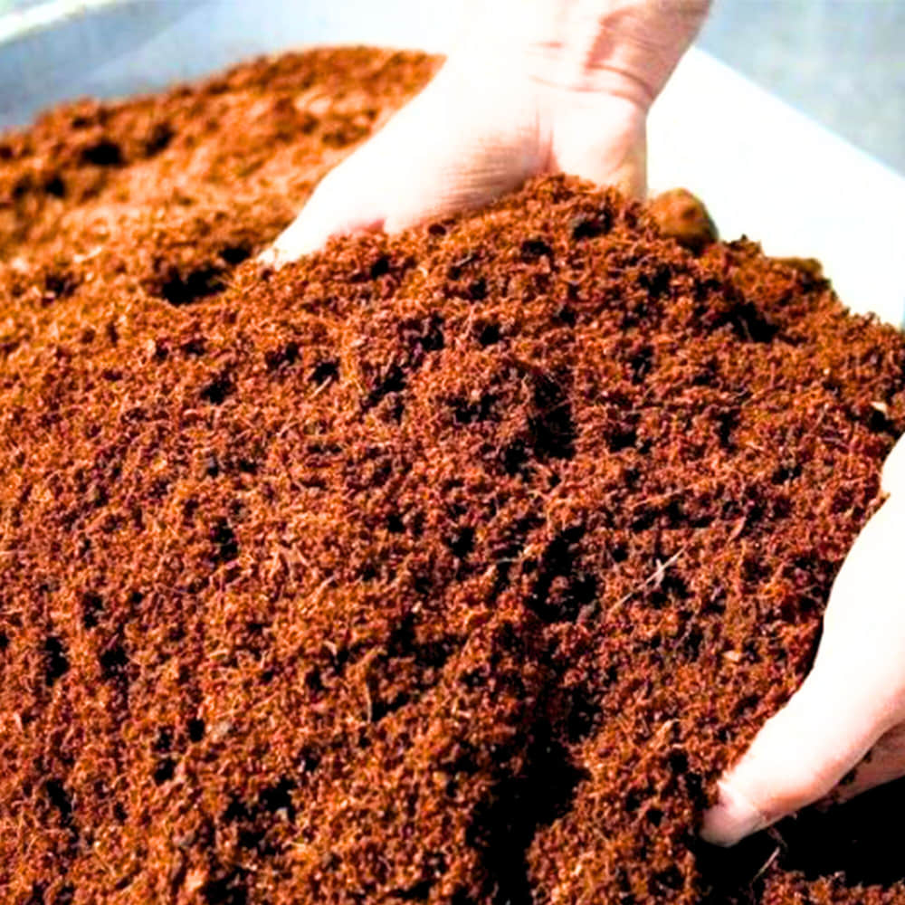 Cocopeat 1 kg Block – Organic Growing Medium for Kitchen Garden & Terrace Gardening