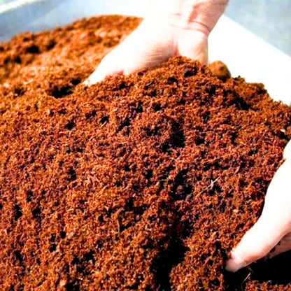 Cocopeat 1 kg Block – Organic Growing Medium for Kitchen Garden & Terrace Gardening