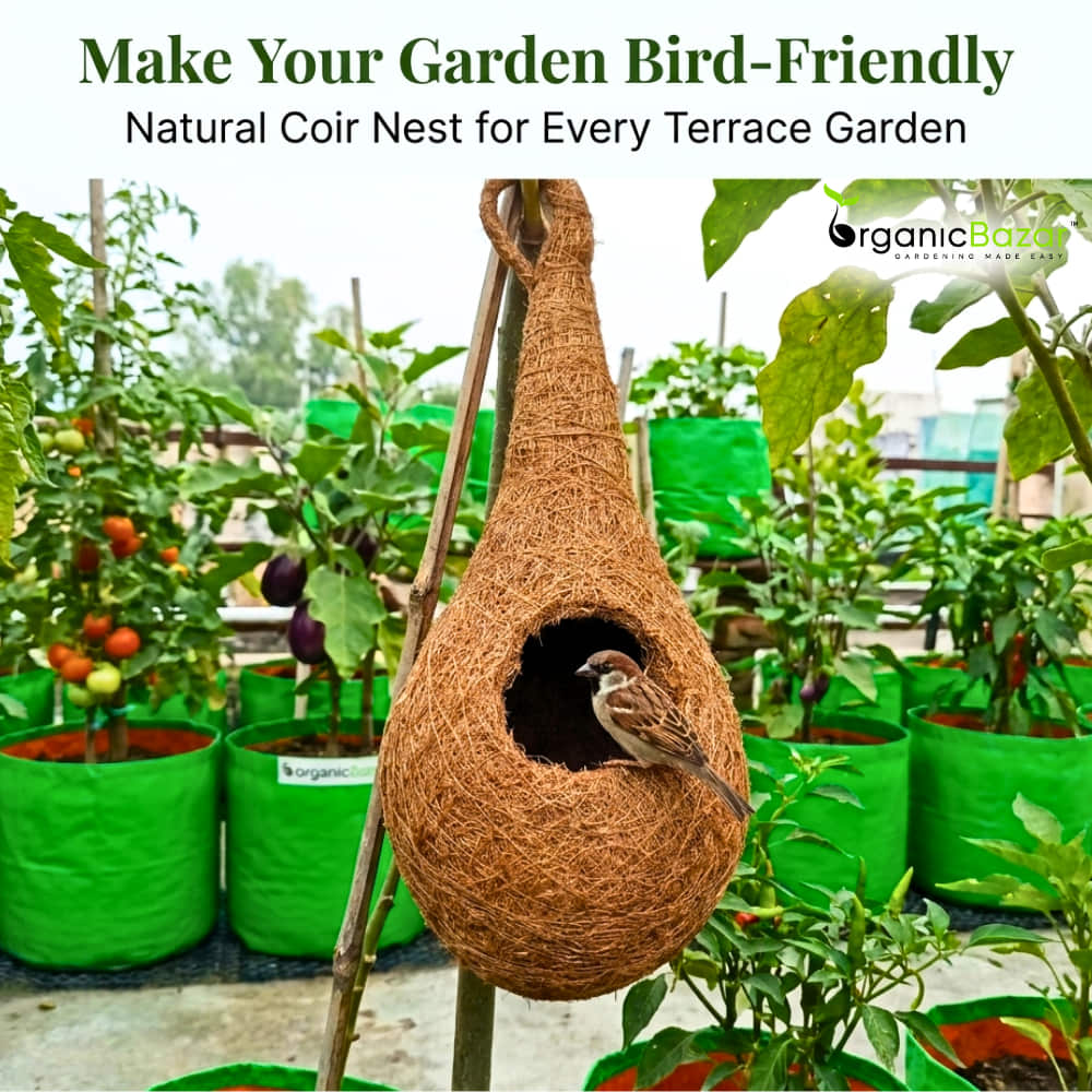 Coir Fibre Bird Nest for Garden
