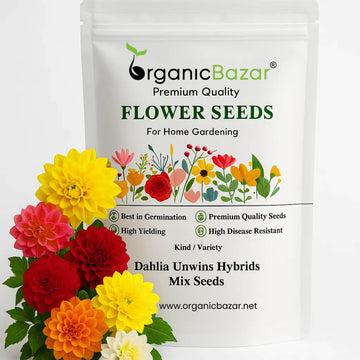 Dahlia Unwins Hybrids Mix Seeds (50 Seeds) Easy To Grow, High Germination, Perfect for pots, balconies, or Terrace gardens