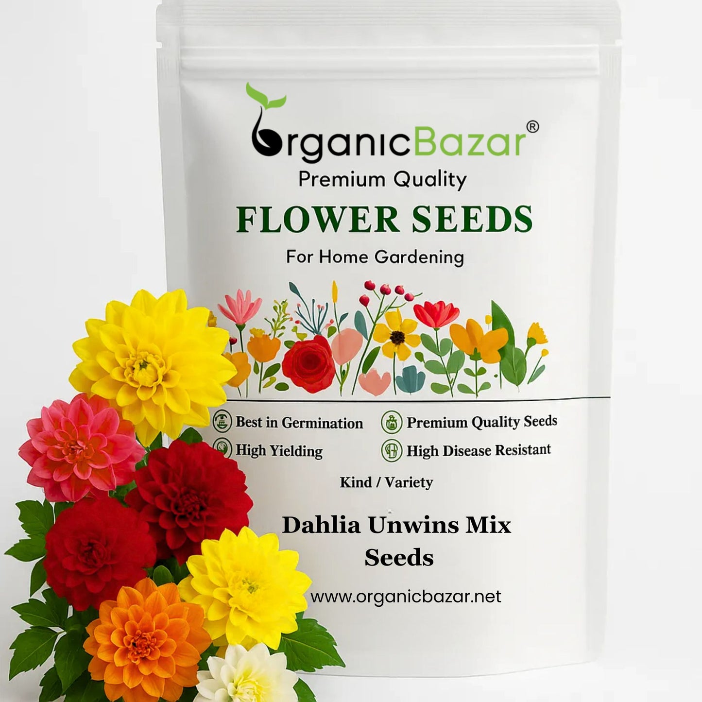 Dahlia Unwins Mix Seeds (50 Seeds) Easy To Grow, High Germination, Perfect for pots, balconies, or Terrace gardens