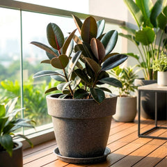 Roto-Moulded Dolium Pot with Saucer | Terrazzo Finish Roto Container with 10+ Years Durability | Premium Stone-Finish Planter for Indoor & Outdoor Garden (Pack of 1)
