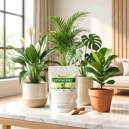 Epsom Salt Fertilizer for Plants (450g)