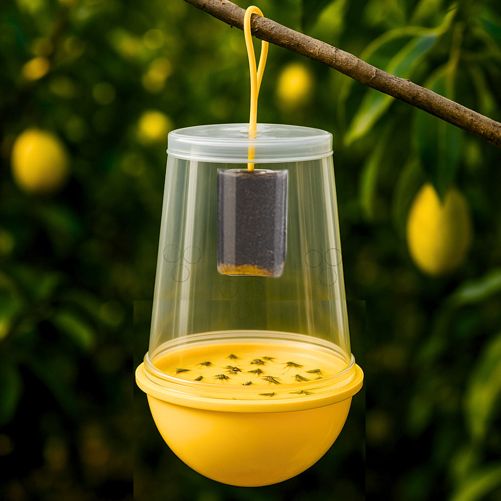 Fruit Fly Trap With Pheromone Lure For Organic Fruits Gardening | Eco-Friendly Pest Control for Mango, Guava, Papaya & All Fruit Crops