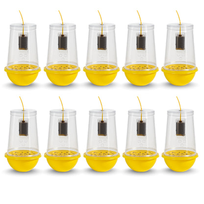 Fruit Fly Trap With Pheromone Lure For Organic Fruits Gardening | Eco-Friendly Pest Control for Mango, Guava, Papaya & All Fruit Crops