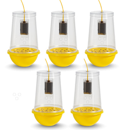 Fruit Fly Trap With Pheromone Lure For Organic Fruits Gardening | Eco-Friendly Pest Control for Mango, Guava, Papaya & All Fruit Crops