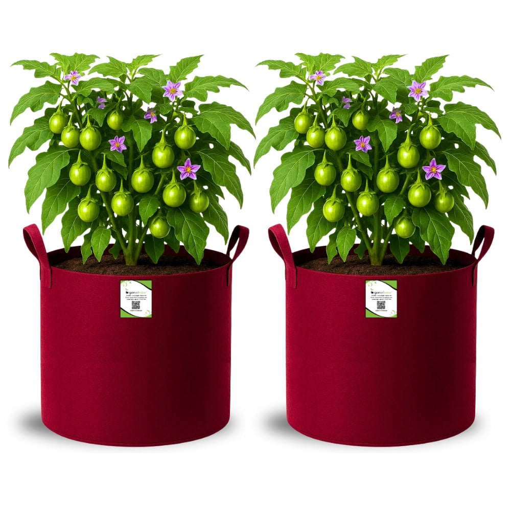 Geo Fabric 15x15 Grow Bag For Terrace Gardening Suitable For Vegetable and Flower Plants