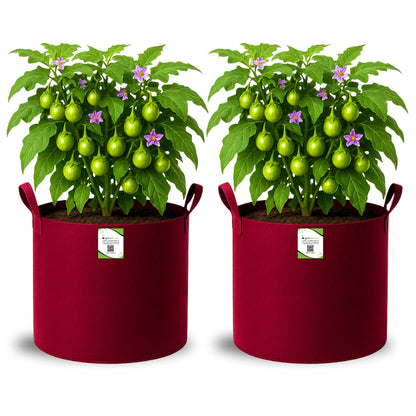 Geo Fabric 15x15 Grow Bag For Terrace Gardening Suitable For Vegetable and Flower Plants