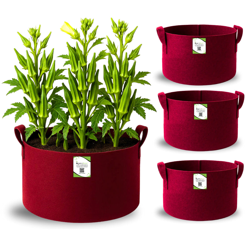 Premium 18X12 Geo Fabric Grow Bags For Home Garden