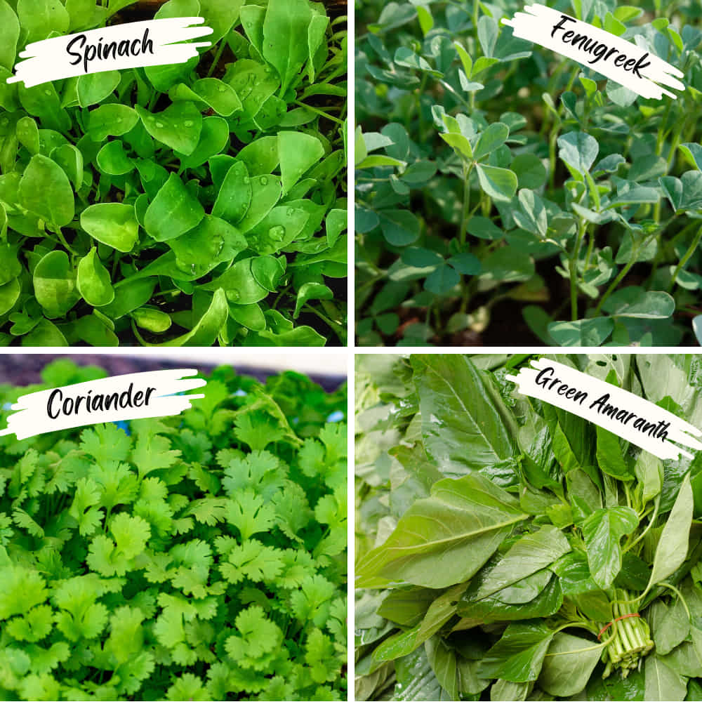 OrganicBazar Geo Fabric 60x15x15 Rectangular Grow Bag With Supporting PVC Pipes Frame for Terrace Garden,  Premium Geo Fabric 450 GSM Raised Bed Planter