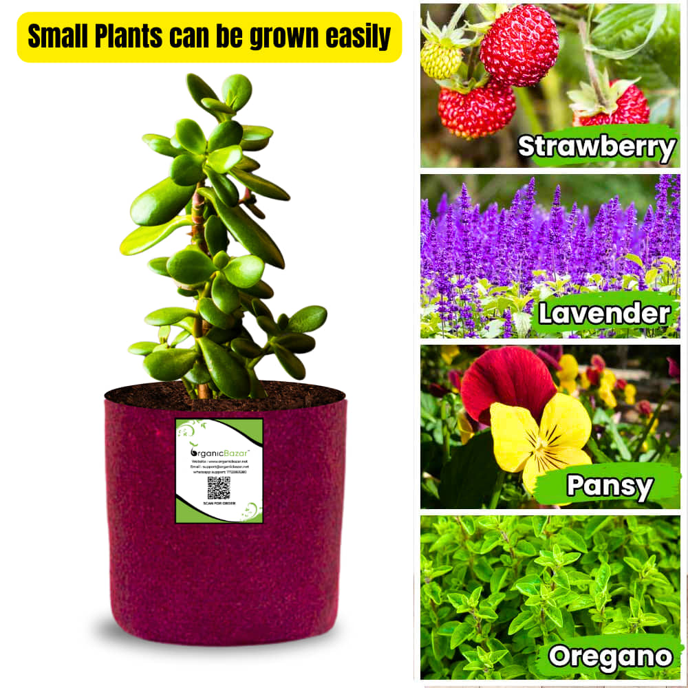 OrganicBazar 6x6 Small Size Grow Bags for Terrace Gardening, Premium Quality Geo Fabric 450 GSM Planters for Small Plants