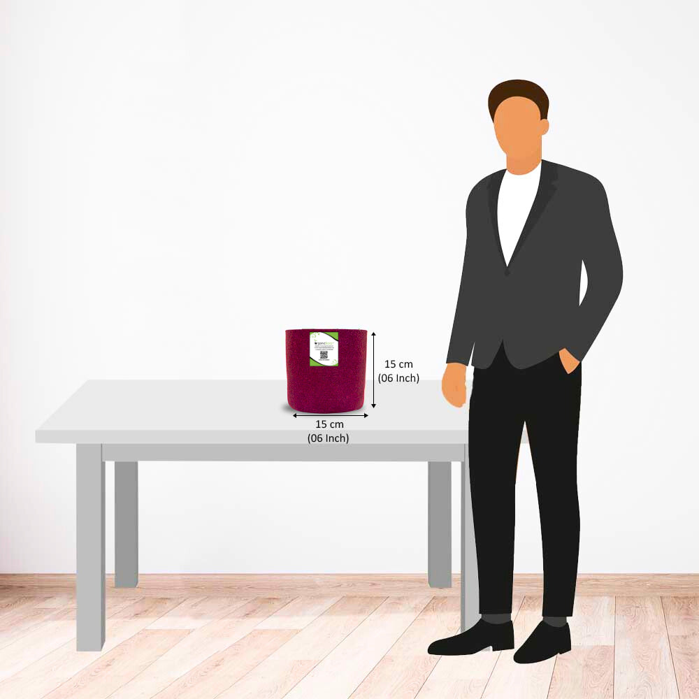 OrganicBazar 6x6 Small Size Grow Bags for Terrace Gardening, Premium Quality Geo Fabric 450 GSM Planters for Small Plants