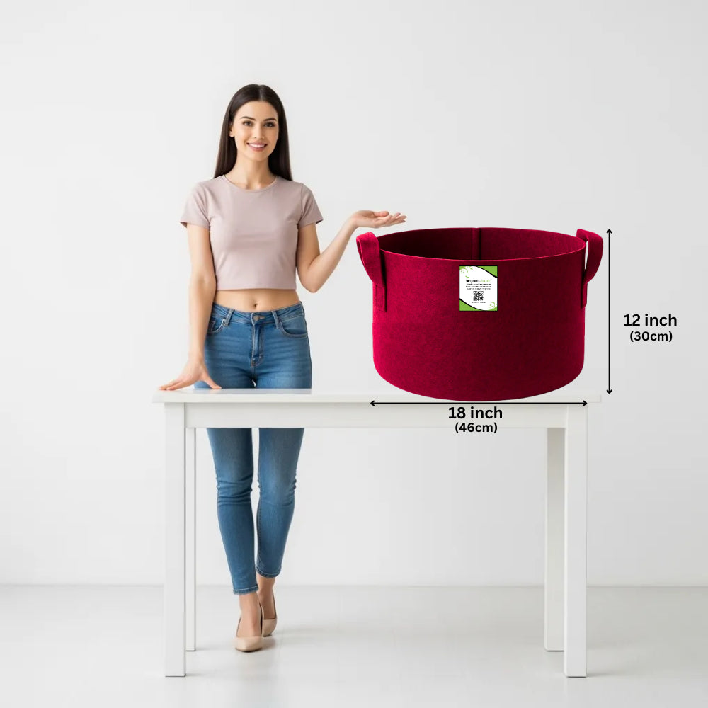 Premium 18X12 Geo Fabric Grow Bags For Home Garden