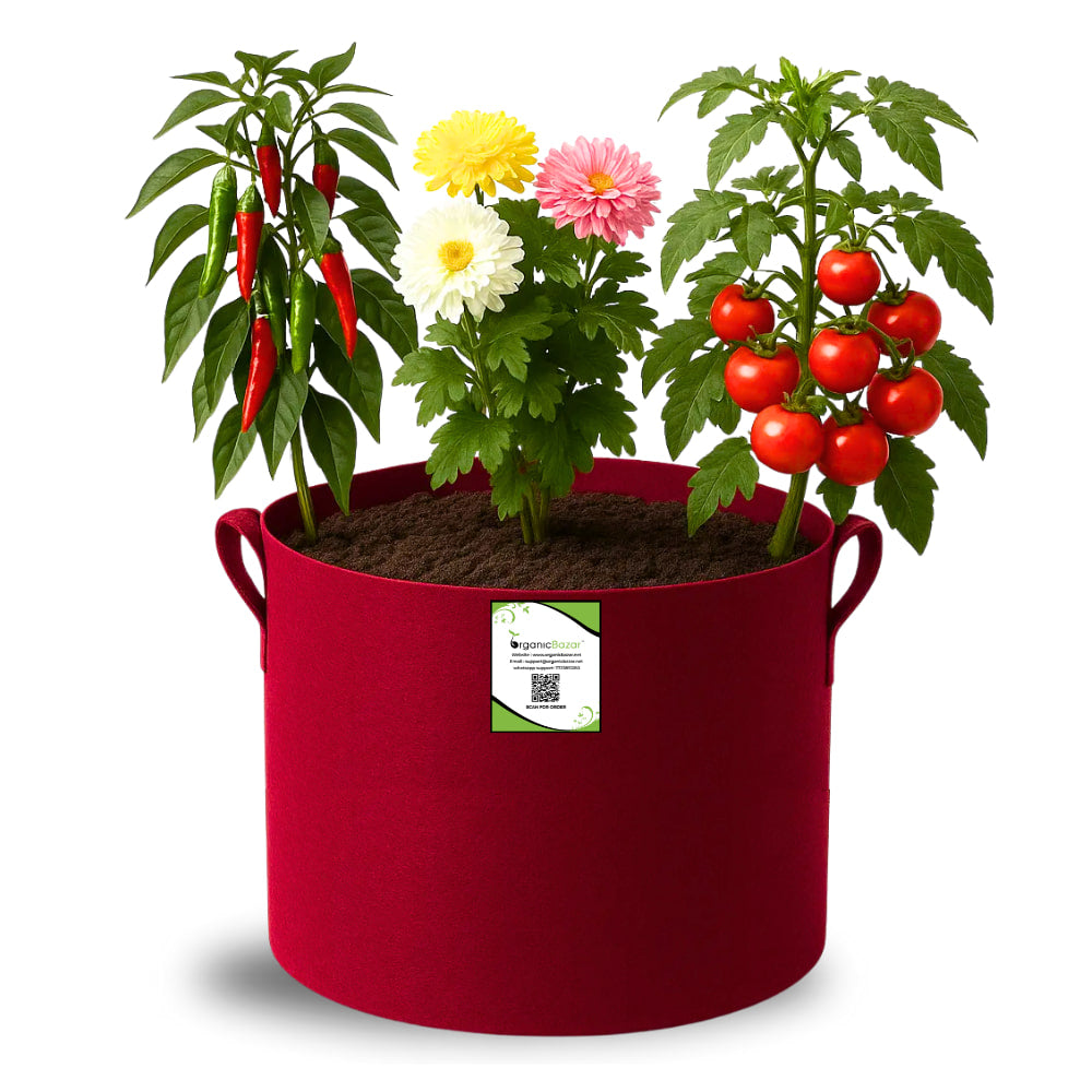 OrganicBazar 9x9 Geo Grow Bags Suitable for Vegetable and Flower Plants, Premium Quality 450 GSM Maroon Planters for Terrace Garden