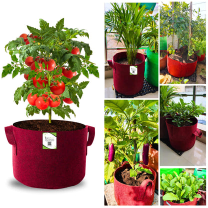 OrganicBazar 15X12 Geo Fabric Grow Bags for Terrace Garden