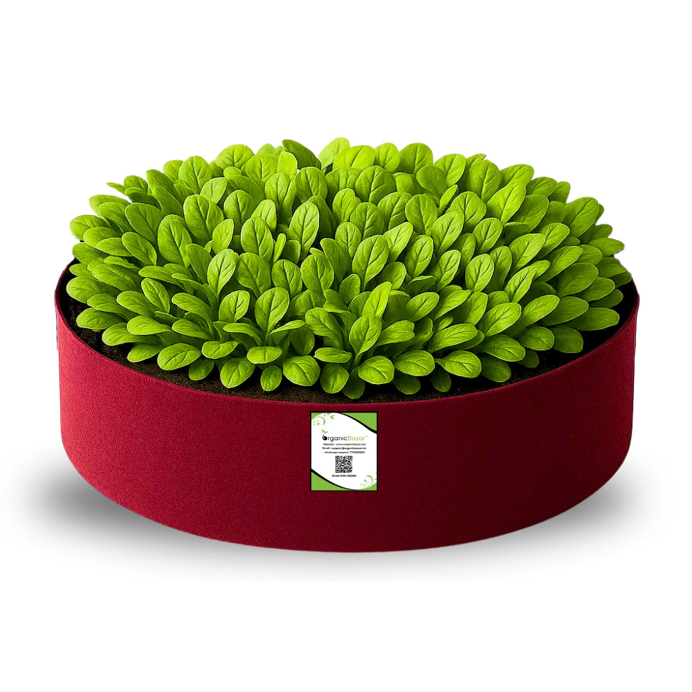 Geo Fabric 24x6 Grow Bag For Terrace Gardening Suitable For Leafy Vegetable and Flower Plants