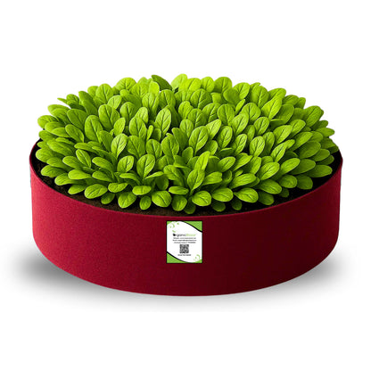 Geo Fabric 24x6 Grow Bag For Terrace Gardening Suitable For Leafy Vegetable and Flower Plants