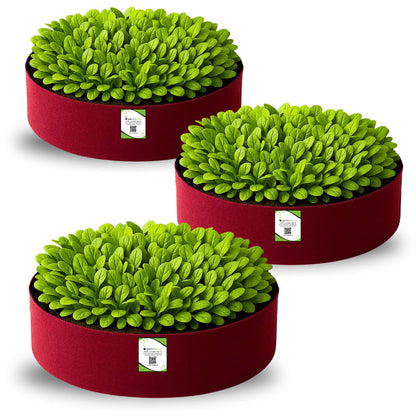 Geo Fabric 24x6 Grow Bag For Terrace Gardening Suitable For Leafy Vegetable and Flower Plants