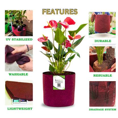 OrganicBazar 6x6 Small Size Grow Bags for Terrace Gardening, Premium Quality Geo Fabric 450 GSM Planters for Small Plants