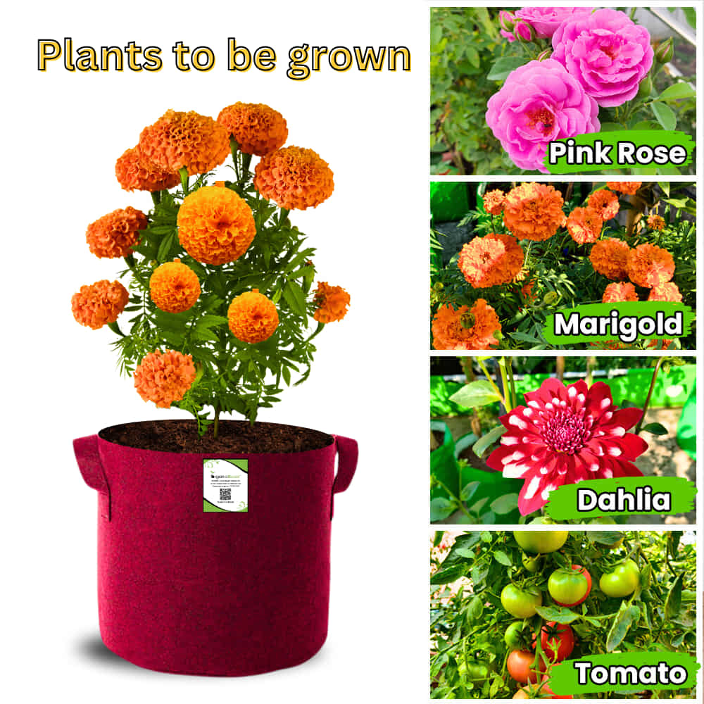 Geo Fabric 15x15 Grow Bag For Terrace Gardening Suitable For Vegetable and Flower Plants