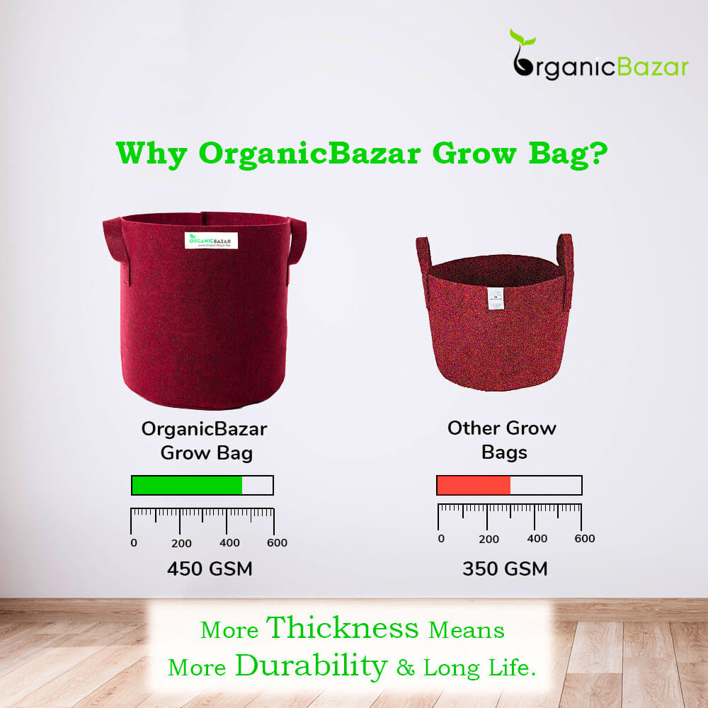 OragnicBazar Geo 24×24 Grow Bag for Home & Terrace Gardening Suitable for Fruit Tree, Premium Geo Fabric 450 GSM Plant Bags